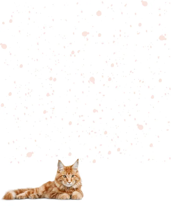 Cats No. 4 note pad, design 1