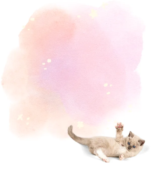 Cats No. 4 note pad, design 2