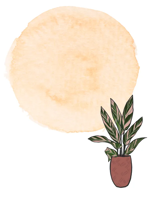 Keeping Balanced note pad — a plant design